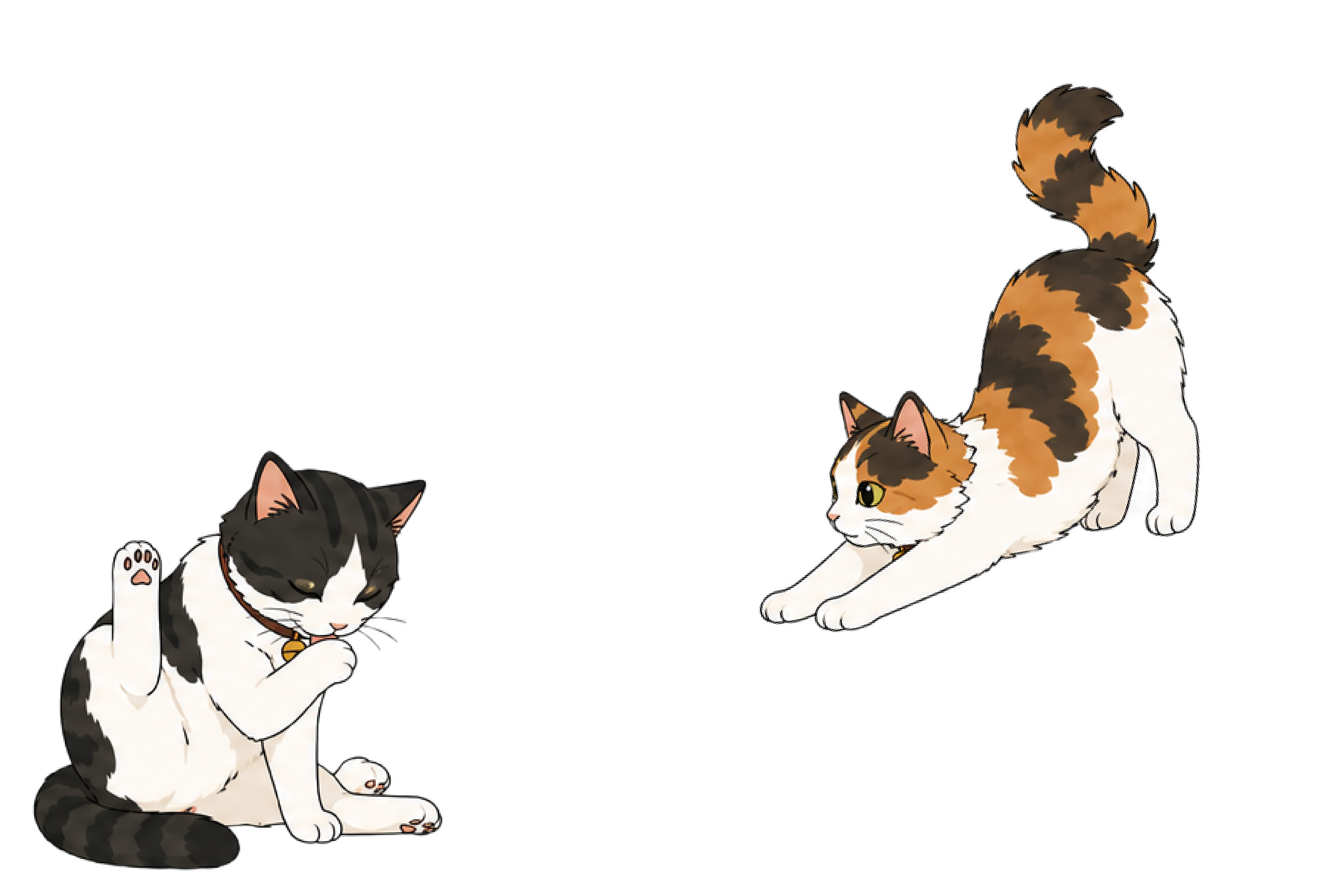 eapdash